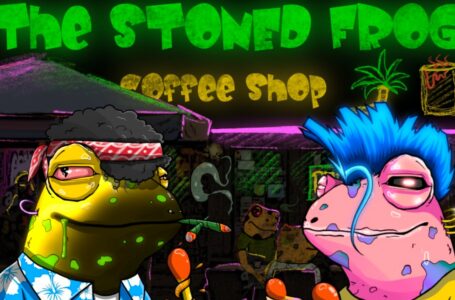 The Stoned Frogs: An NFT Collection Based on Solana