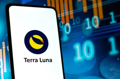 Was Terra (LUNA) Massive Rally A Pump and Dump Scheme or Or Has a Real Use Case