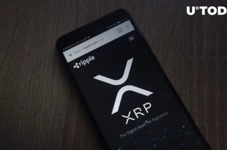 Top YouTuber Explains Why He Called XRP Army “Delusional”