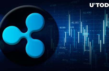 Ripple Clocks 10 Years, Ripple VP Makes Exciting Prediction