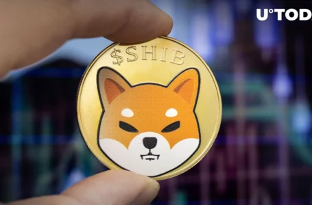 SHIB Lead Developer Teases Surprise Planned for First Day of October: Details