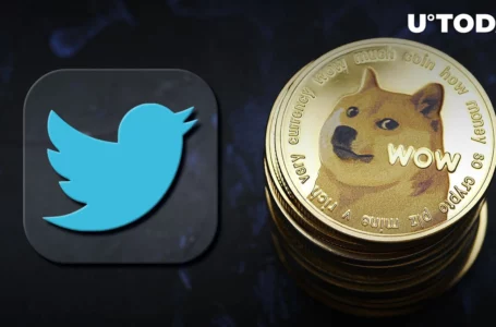 DOGE Co-Founder Says He Sees Fewer Spam Bots, Assumes Twitter’s Done Something