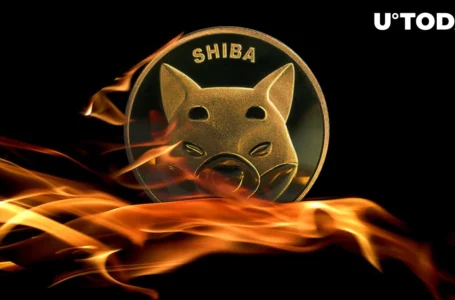 3 Ways to Burn SHIB Named by This Prominent Burner: Report
