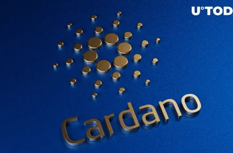 Here’s What Cardano’s “Superpower” Is, Developer Explains