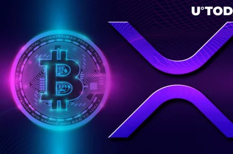 XRP Price Demonstrates Extremely Interesting Action Against Bitcoin During Current Drop