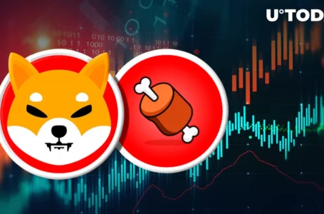 Shiba Inu’s BONE Sees 205% Rise in Volume as Price Tumbles, What’s Happening?