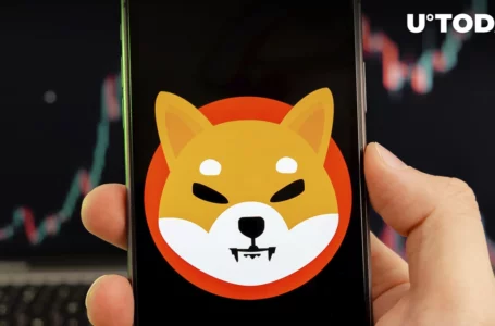 SHIB Price Might Make Significant Move per This Indicator: Details