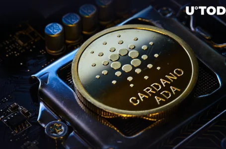 Cardano Distributed 16,164 ADA to 217 in Only One Transaction, Here’s How