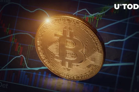 Bitcoin’s Real Value Is Far Below Current Spot Price, Here’s Why