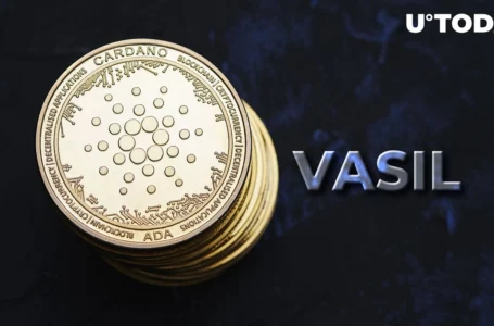 Cardano Among Top Three Actively Developed Assets as Vasil Monitoring Continues