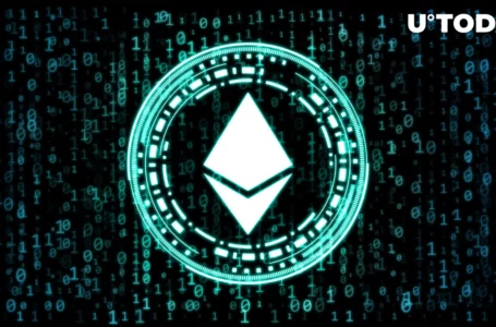 Ethereum L2 StarkNet Processes More Transactions Than Bitcoin: Data