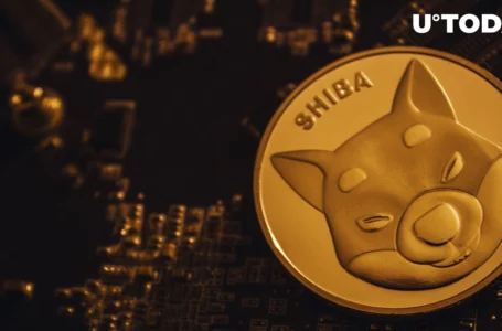 Shiba Inu (SHIB) Finally Listed on This Major Cryptocurrency Exchange: Details