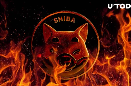 SHIB Burn Rate Soars 395% as 155 Million Tokens Got Removed Last Week
