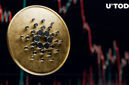 Cardano Investor Loses ADA Worth More Than $25 Million to Celsius Freeze