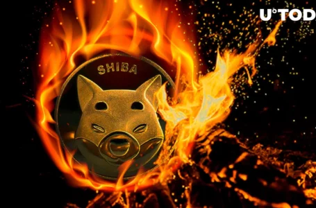 Here’s How Billions of SHIB Can Be Burned Daily: Innovative Burner
