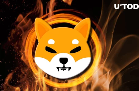 Record 64 Billion SHIB Burned by This Major Portal, But Community Says It’s Nothing, Here’s Why
