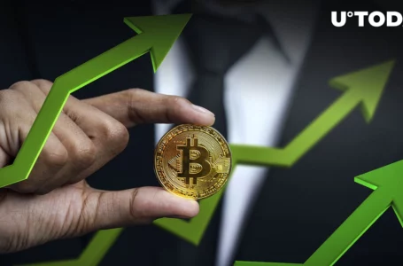 Bitcoin to Reach $1,000,000 Mark by 2023 According to Ark Invest Analyst