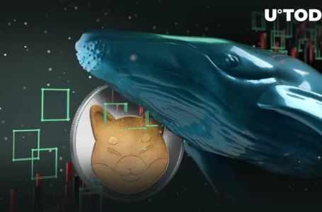 Whales Sold 682 Billion SHIB, But They Might Regret This Now