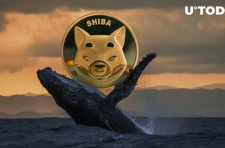 2.8 Trillion SHIB Sold by Whale After Holding It for 2 Months, Here’s What Triggered Sale