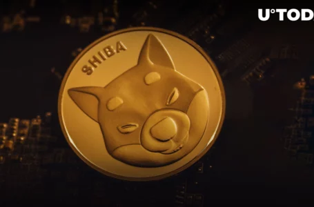 SHIB Gains 1,000+ New Holders Within One Day, Reaching New ATH: Details