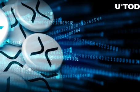 572 Million XRP Transfered As Coin Loses $0.5 Level