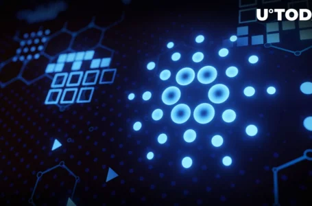 Cardano: Community Makes Stunning Prediction on Network Growth in Next Bull Cycle