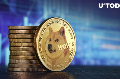 Dogecoin Set To Mark Its Nine Years of Existence and 63 “Dog Years”