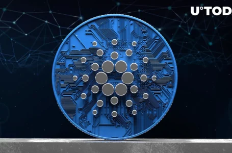 Here’s How Cardano Network Has Changed Since Vasil: Details