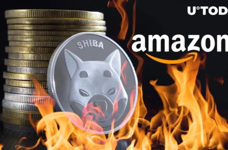 “Amazon SHIB Burner” About to Catch Up with September Burns: Details