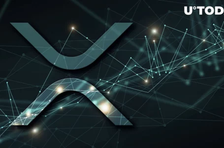 XRP Reloading for New Spike up Following 13% Plunge
