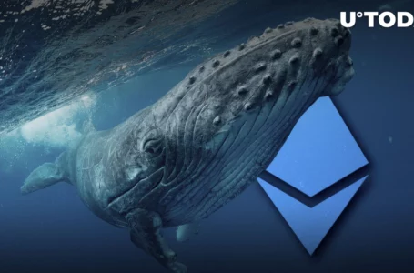 Ethereum Whales Selling Their Holdings, but You Should Not Worry