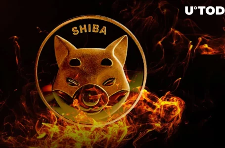 SHIB Burn Rate Jumps 584% as Millions of SHIB Sent to Dead Wallets