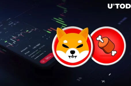 Shiba Inu Token Surges 8%, But It’s Not SHIB