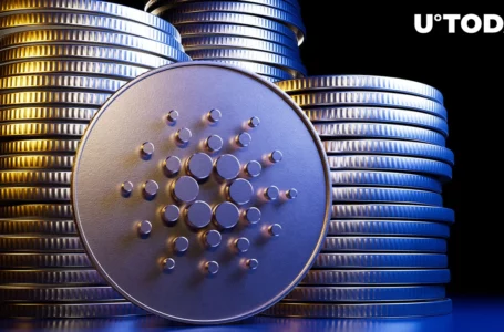 Cardano: Here’s How Far ADA Has Moved with Glance at Top 15 Cryptos in 2017