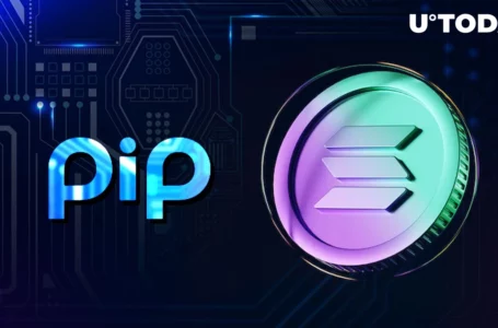 Solana-based PIP Launches One-Stop Solution for Retail PIP.me 2.0