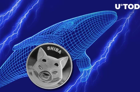 This Mysterious Whale Gradually Dropping Billions of SHIB, Still Holds 24 Trillion