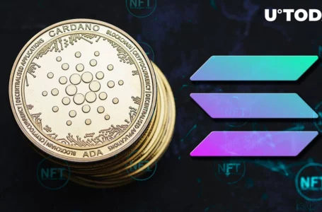 Cardano Takes Solana NFT Traders, Here’s Why They Run from SOL to ADA
