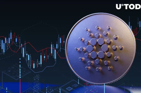 Cardano DEX Sees 788% Growth in User Activity Post-Vasil: Details