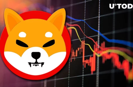 SHIB Reaching Dangerous Price Level, a Drop Could Mean an Extra Zero