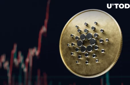 Cardano Network Transactions Record 75% Increase as Activity Skyrockets: Details