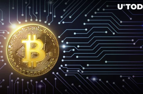 Bitcoin Investors Massively Withdrawing Funds From Exchanges, What’s Happening?