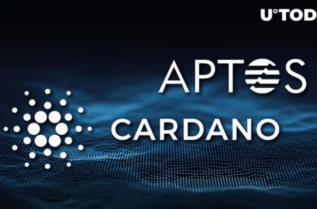 Cardano DEX & “Solana Killer” Aptos Announce Major Collaboration: Details