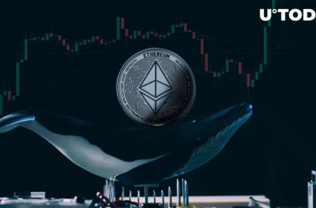 Here’s What Ethereum Whales Purchase Massively To Protect From Bear Market