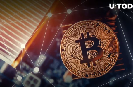Bitcoin May Gain Upper Hand Vs S&P 500 and Surge: Bloomberg’s Mike McGlone