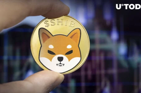 Here’s How SHIB Payments Can Be Adopted by These Two Global Giants: Details