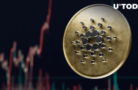 ADA’s Price Doubled within 3 Month After This Index Reached This Level: Santiment