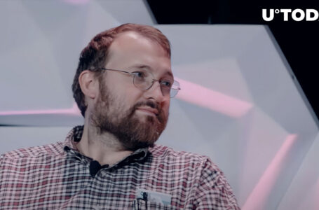 Cardano Founder Says “Something Special” Is Coming in November