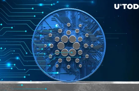 Cardano (ADA) Is Extremely Undervalued According to On-chain Data