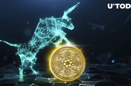 Cardano: Community Predicts “Ethereum Moment” Bull Run, Here’s How It Might Happen