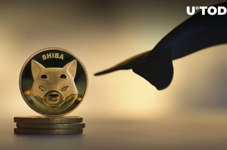 New SHIB Whale Born, Holding 3.3 Trillion Coins
